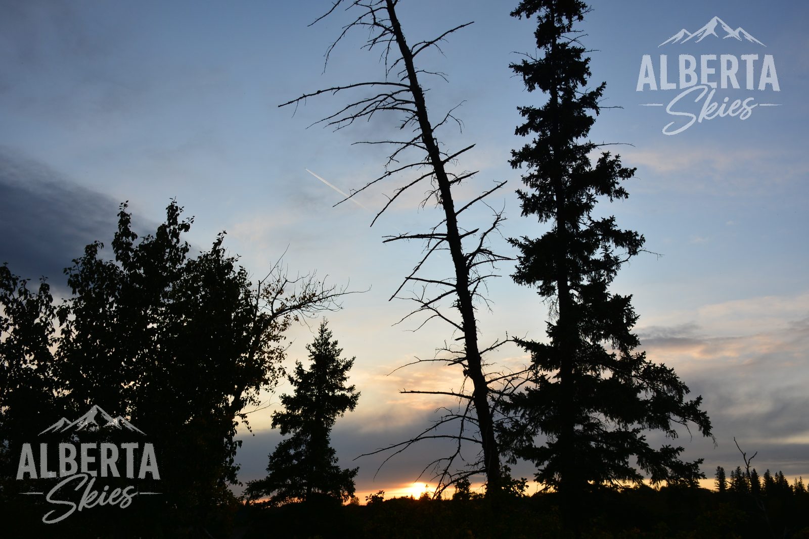 Sunset Silhouette